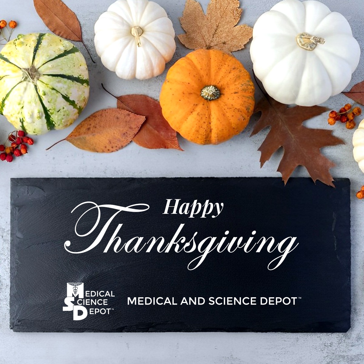 On Thanksgiving, we remember the good things, small and large, that make our lives full and blessed. All of us at Medical and Science Depot send best wishes to all for a memorable holiday -- Happy Thanksgiving! 🦃🙏🍂
.
.
.
.
#HappyThanksgiving #Holiday #Grateful #Thanks #TurkeyDay #Blessed #Friends #Autumn #Gratitude #GiveThanks #ThanksgivingDay #ThankYou #Celebrate #Stuffing #FamilyTime  #MedicalAndScienceDepot