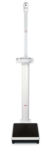 Telescopic measuring rod for Seca column scales-1